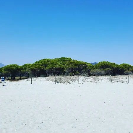La Casa Dei Gechi Holiday home Budoni