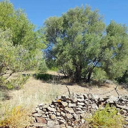 Feriehus La Casa Dei Gechi Budoni