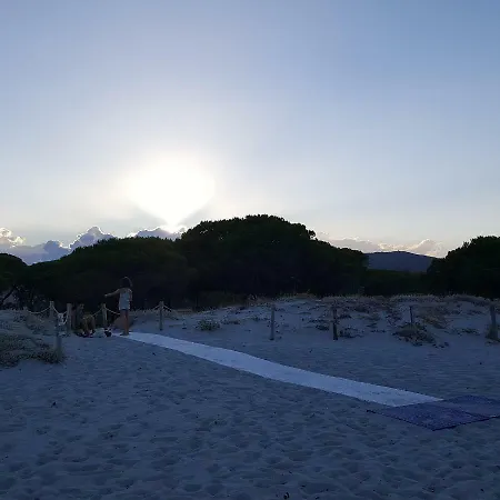 La Casa Dei Gechi *